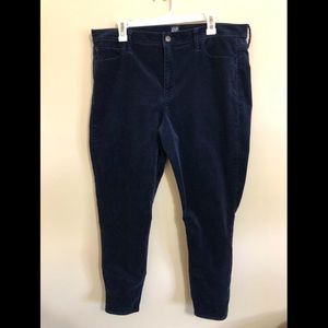 Gap velvet skinny jean size 35R
